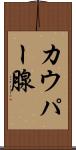 カウパー腺 Scroll