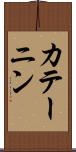 カテーニン Scroll