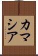 カマシア Scroll