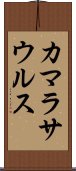 カマラサウルス Scroll