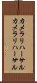 カメラリハーサル Scroll