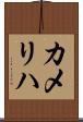カメリハ Scroll