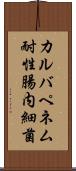 カルバペネム耐性腸内細菌 Scroll