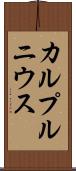 カルプルニウス Scroll