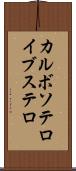 カルボソテロイブステロ Scroll