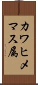 カワヒメマス属 Scroll