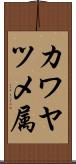 カワヤツメ属 Scroll