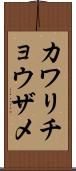 カワリチョウザメ Scroll