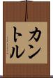 カントル Scroll