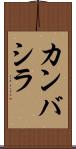 カンバシラ Scroll