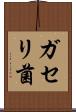 ガセリ菌 Scroll