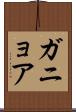 ガニョア Scroll