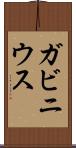 ガビニウス Scroll