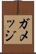 ガメッジ Scroll