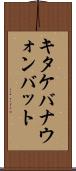 キタケバナウォンバット Scroll