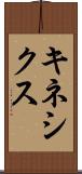 キネシクス Scroll