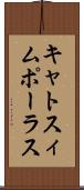 キャトスィムポーラス Scroll