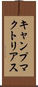 キャンプマクトリアス Scroll