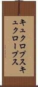 キュクロプス Scroll