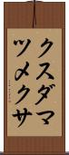 クスダマツメクサ Scroll