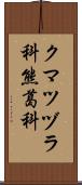クマツヅラ科 Scroll
