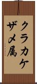 クラカケザメ属 Scroll