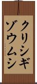 クリシギゾウムシ Scroll