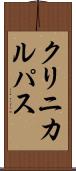 クリニカルパス Scroll