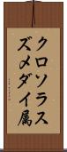 クロソラスズメダイ属 Scroll