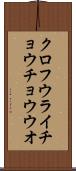 クロフウライチョウチョウウオ Scroll