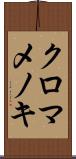 クロマメノキ Scroll