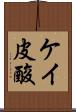 ケイ皮酸 Scroll