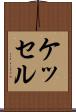 ケッセル Scroll