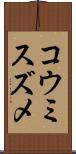コウミスズメ Scroll