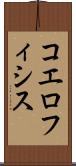 コエロフィシス Scroll