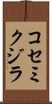 コセミクジラ Scroll