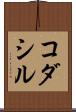 コダシル Scroll