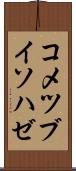 コメツブイソハゼ Scroll