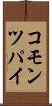 コモン・ツパイ Scroll
