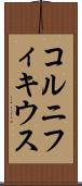 コルニフィキウス Scroll