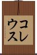 コレウス Scroll