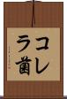 コレラ菌 Scroll
