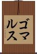 ゴマルス Scroll