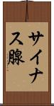 サイナス腺 Scroll