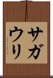 サガウリ Scroll