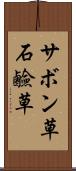 サボン草 Scroll