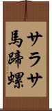 サラサ馬蹄螺 Scroll