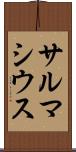 サルマシウス Scroll