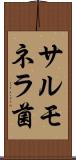 サルモネラ菌 Scroll