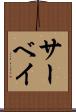 サーベイ Scroll
